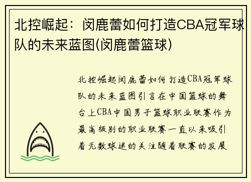 北控崛起：闵鹿蕾如何打造CBA冠军球队的未来蓝图(闵鹿蕾篮球)